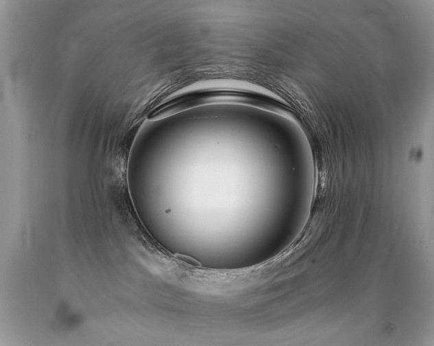 X0000090780045200707201532