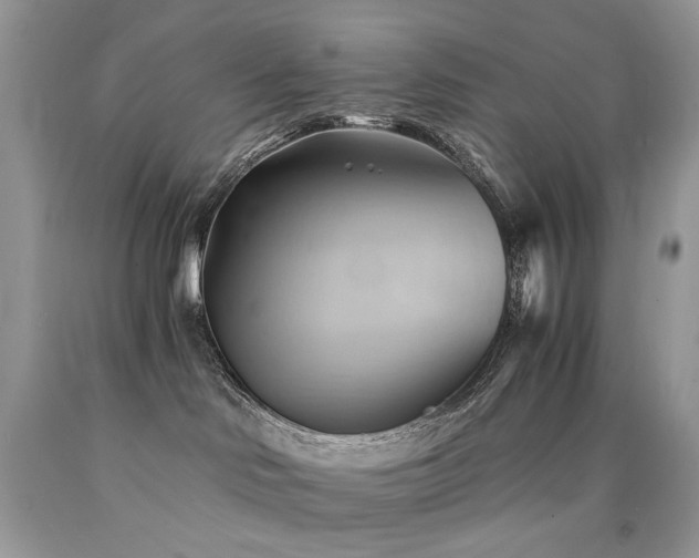 X0000090780046200707201532
