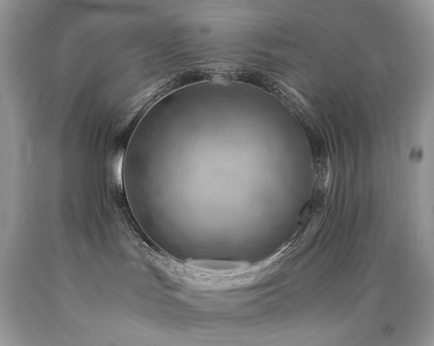 X0000090780047200707201532