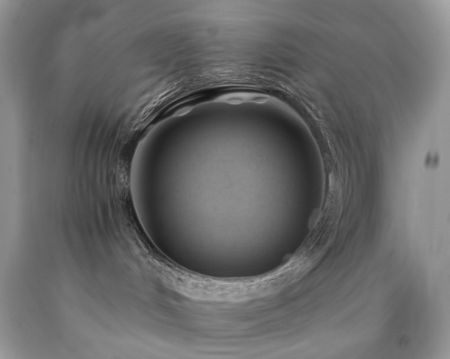X0000090780048200707201532