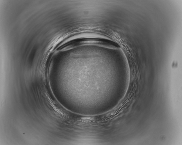 X0000090780050200707201532