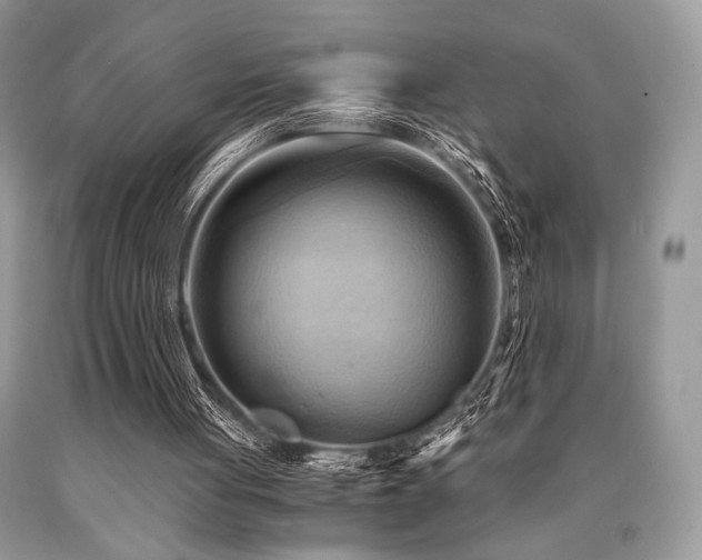 X0000090780051200707201532