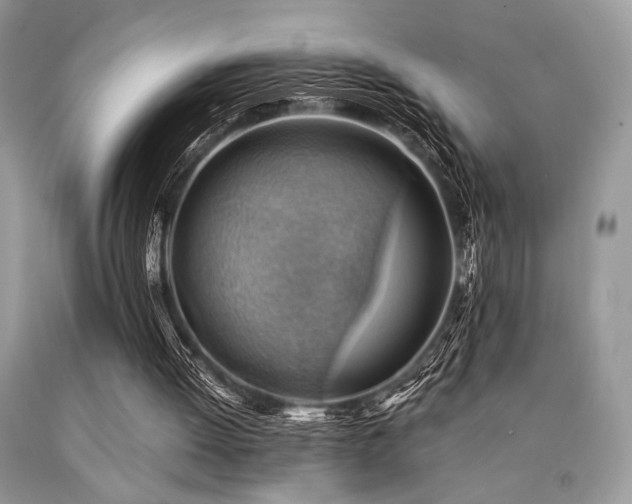X0000090780052200707201532