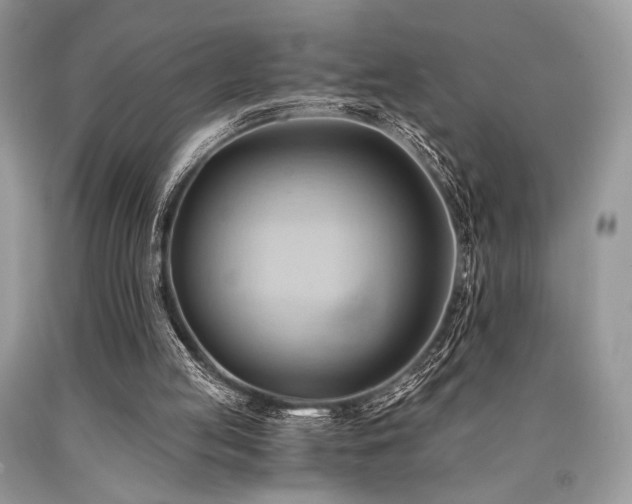 X0000090780053200707201532