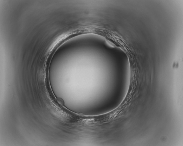 X0000090780054200707201532