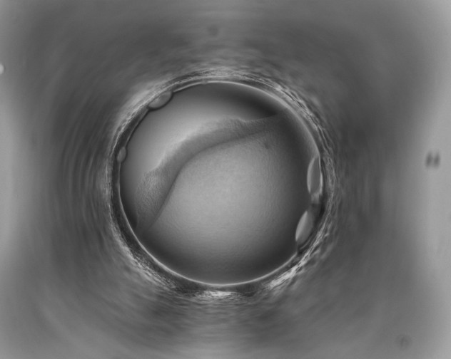 X0000090780055200707201532