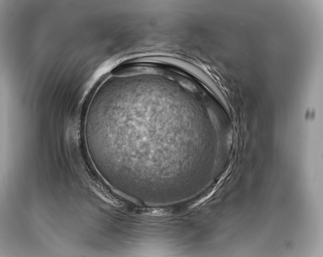 X0000090780056200707201532