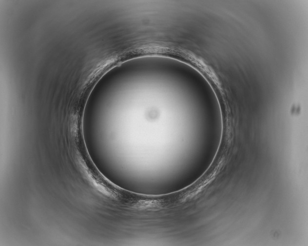 X0000090780057200707201532