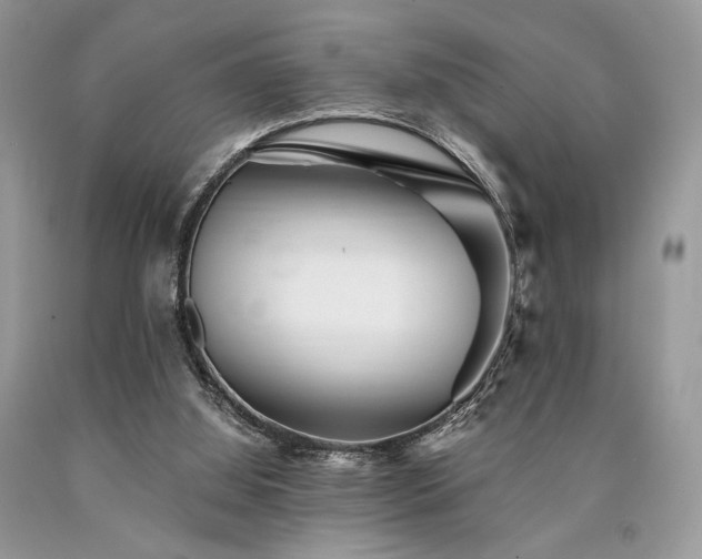 X0000090780060200707201532