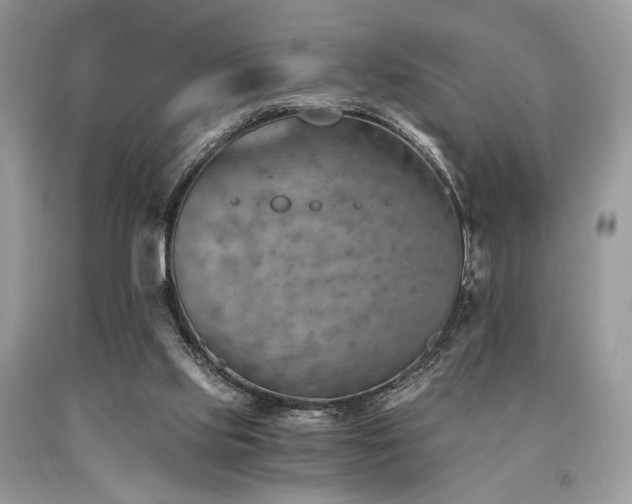X0000090780061200707201532