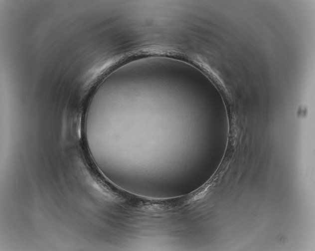X0000090780062200707201532