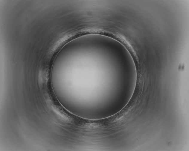 X0000090780063200707201532