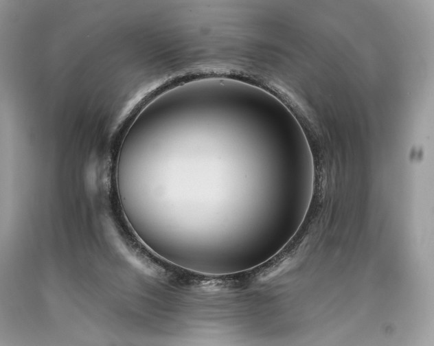 X0000090780064200707201532