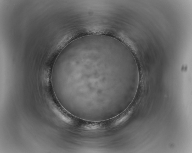 X0000090780065200707201532