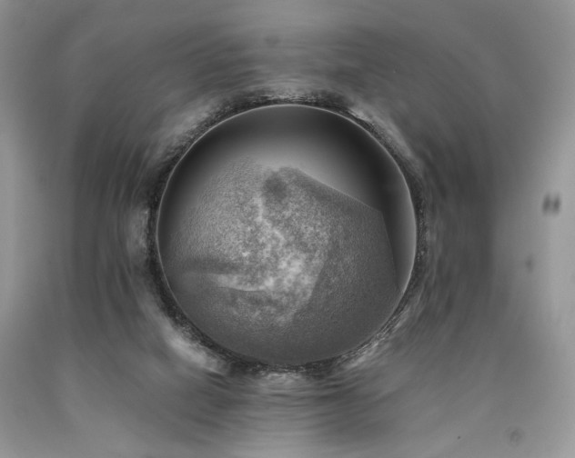 X0000090780066200707201532