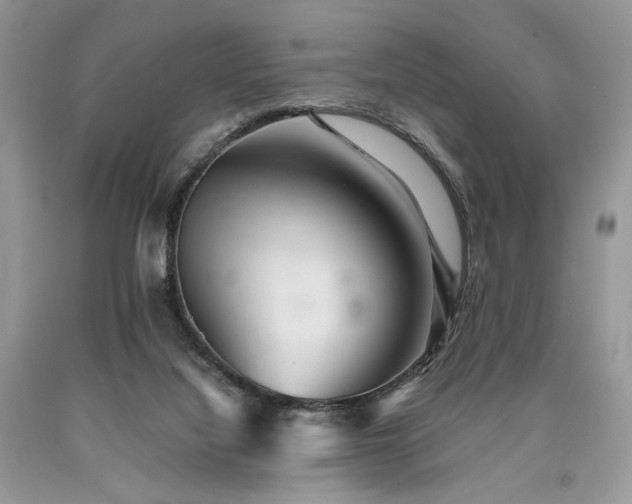 X0000090780068200707201532
