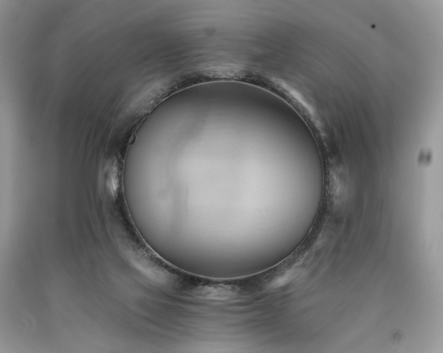 X0000090780069200707201532