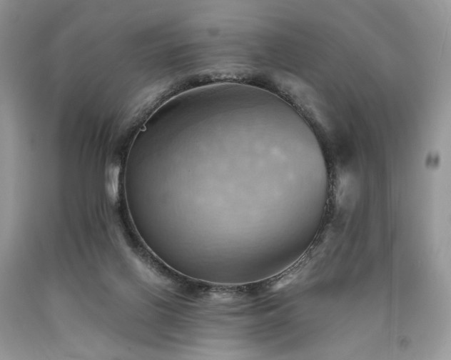 X0000090780070200707201532