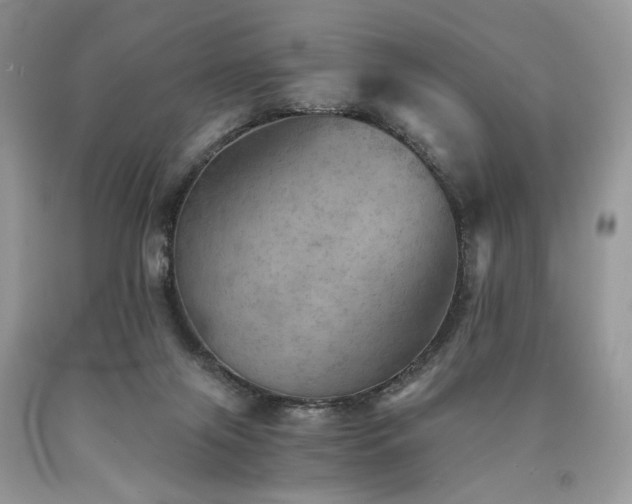 X0000090780071200707201532