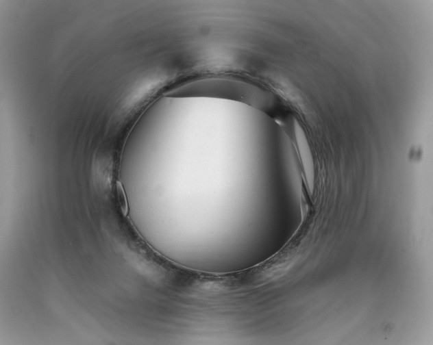 X0000090780072200707201532