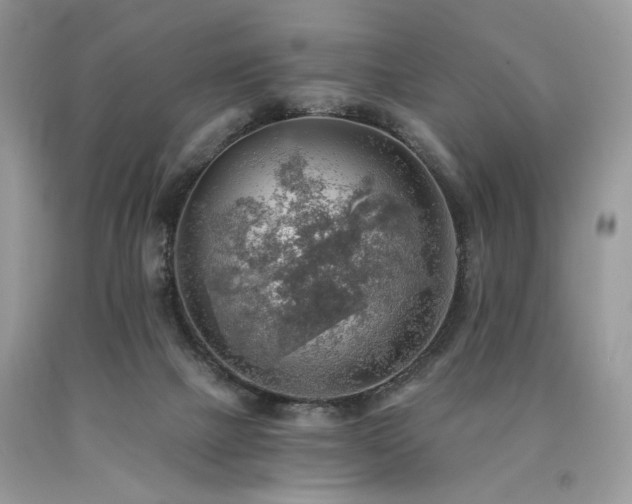 X0000090780073200707201532