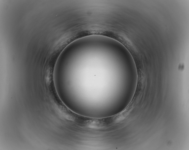X0000090780074200707201532
