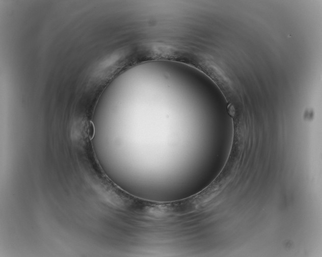 X0000090780079200707201532