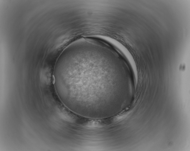 X0000090780080200707201532