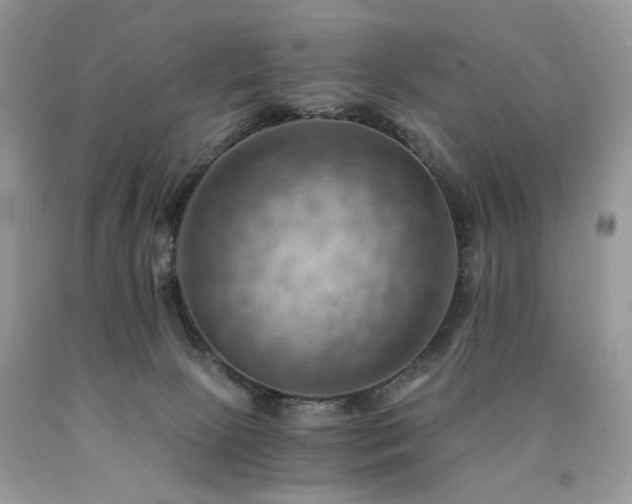 X0000090780081200707201532