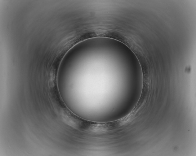 X0000090780082200707201532