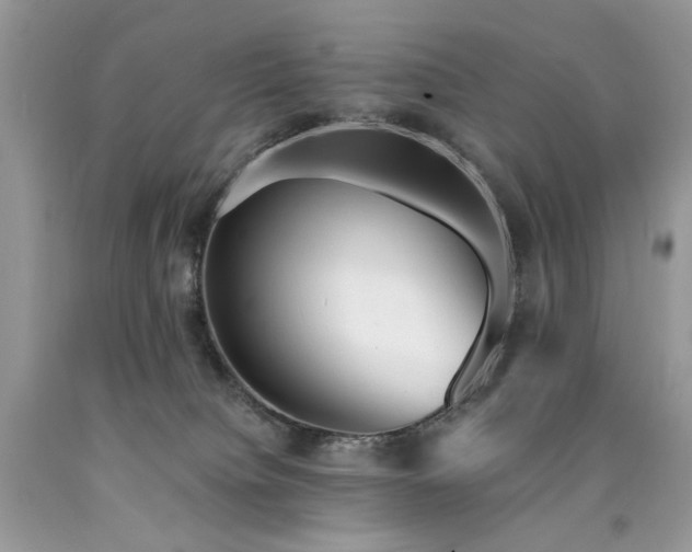 X0000090780084200707201532
