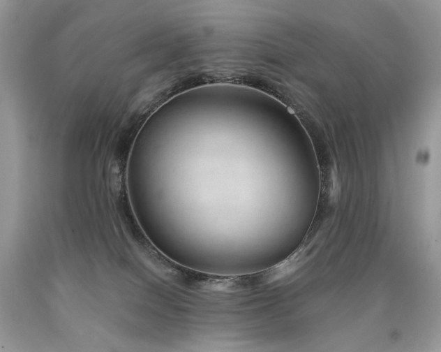 X0000090780086200707201532