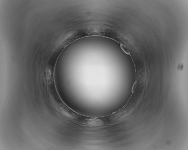 X0000090780087200707201532