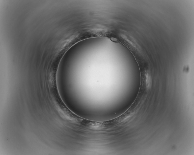 X0000090780088200707201532