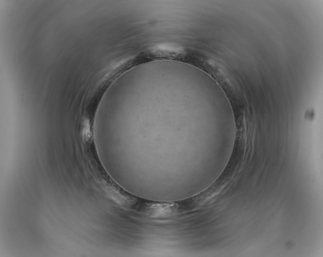 X0000090780089200707201532