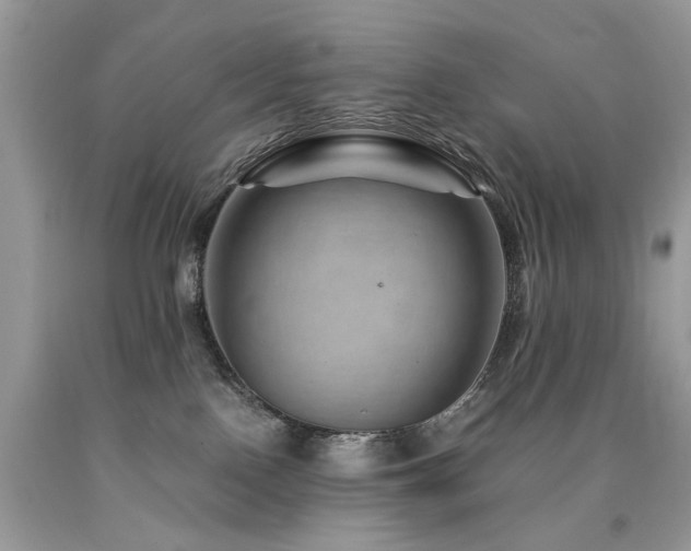 X0000090780090200707201532