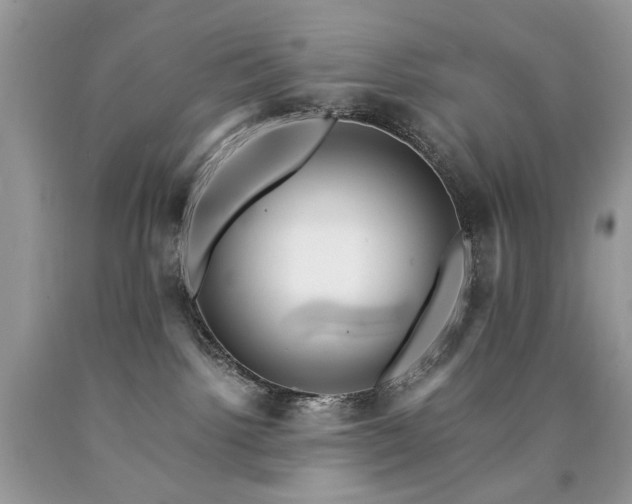X0000090780092200707201532