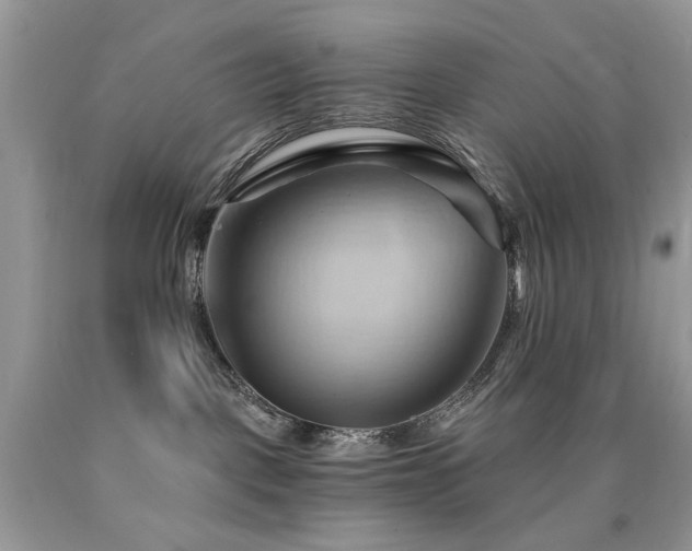 X0000090780093200707201532