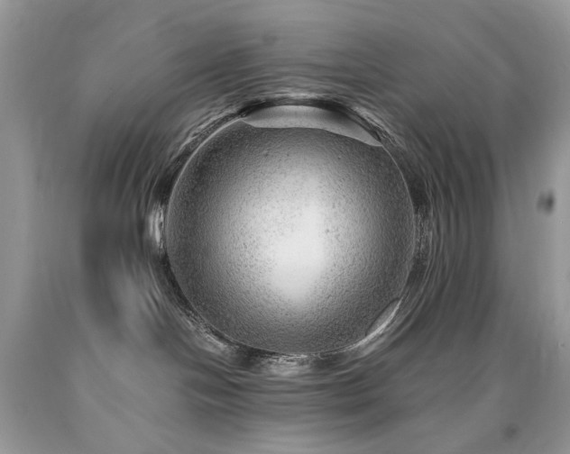 X0000090780094200707201532