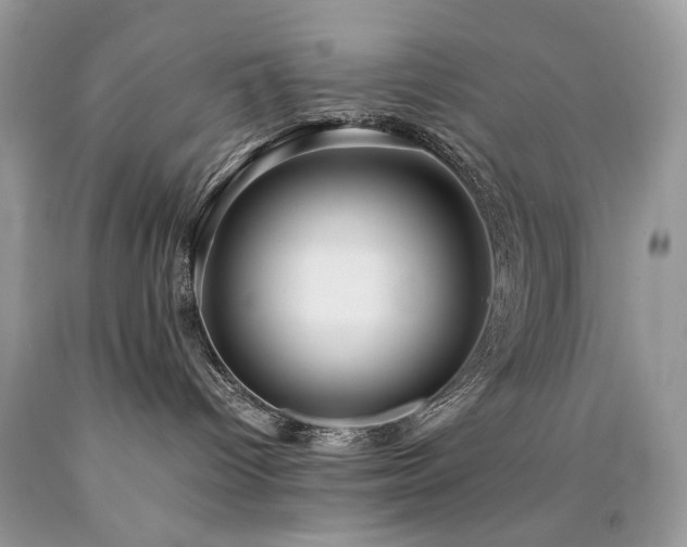 X0000090780096200707201532