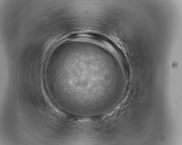 X0000090780097200707201532
