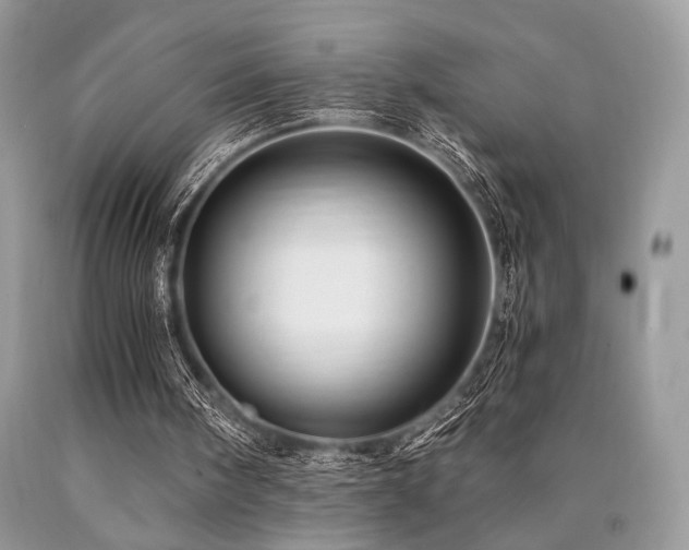 X0000090780098200707201532