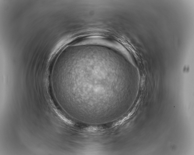 X0000090780101200707201532