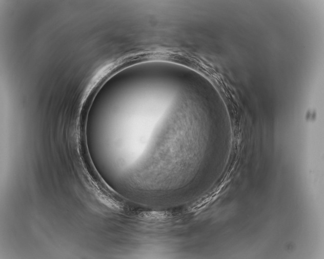 X0000090780102200707201532