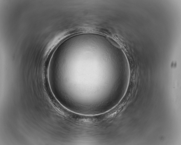 X0000090780103200707201532
