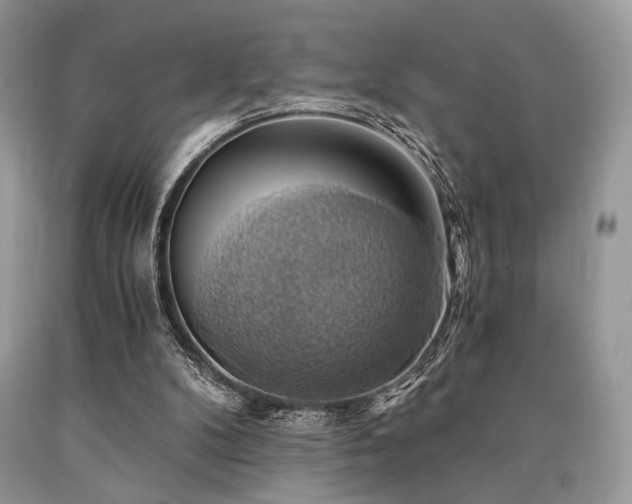 X0000090780104200707201532
