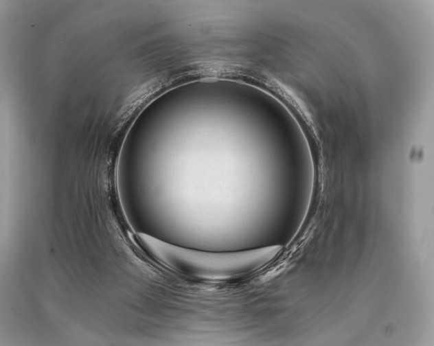X0000090780105200707201532