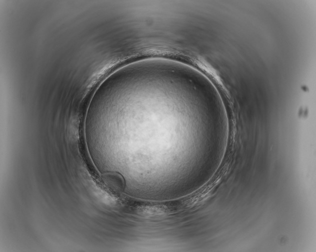 X0000090780106200707201532