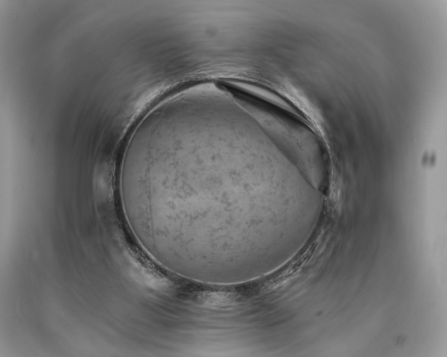 X0000090780107200707201532