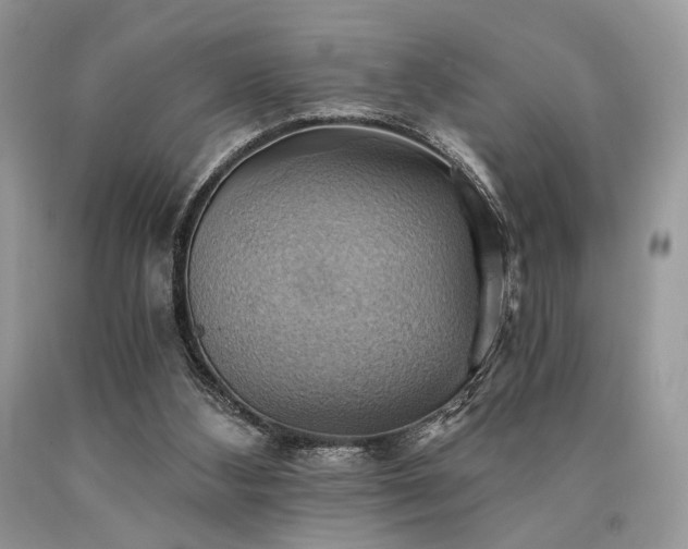 X0000090780108200707201532
